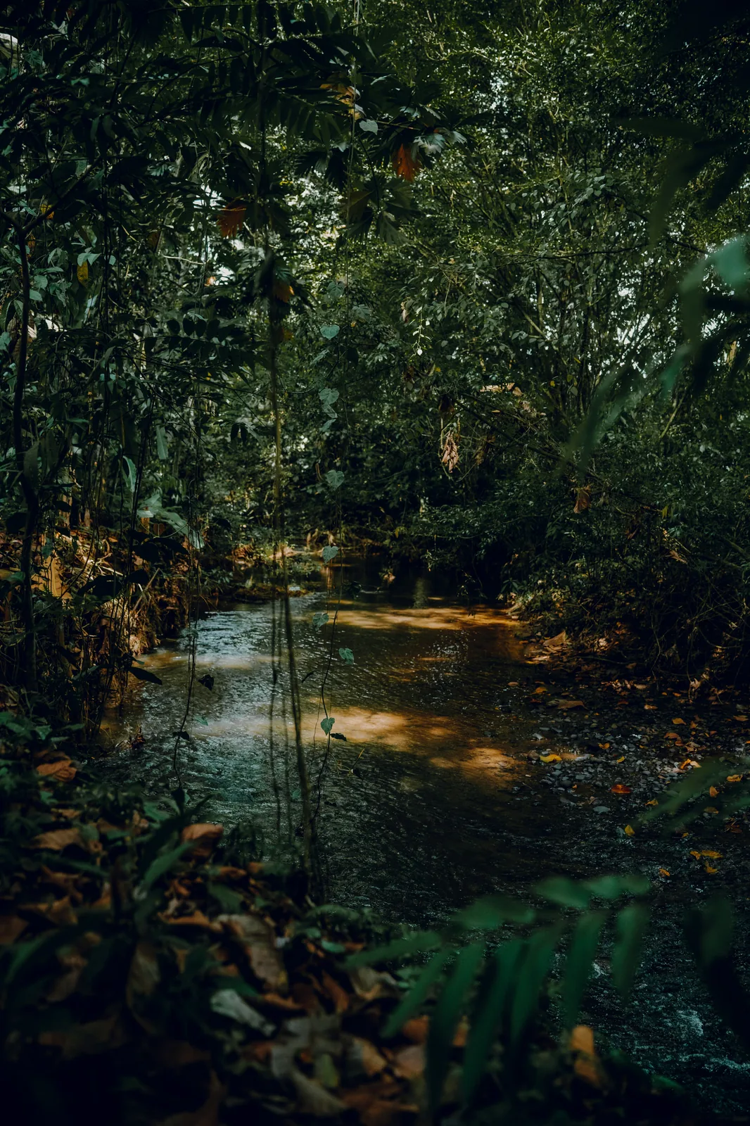 Tworzenie niedrogich stron internetowych w Powiat lipnowski