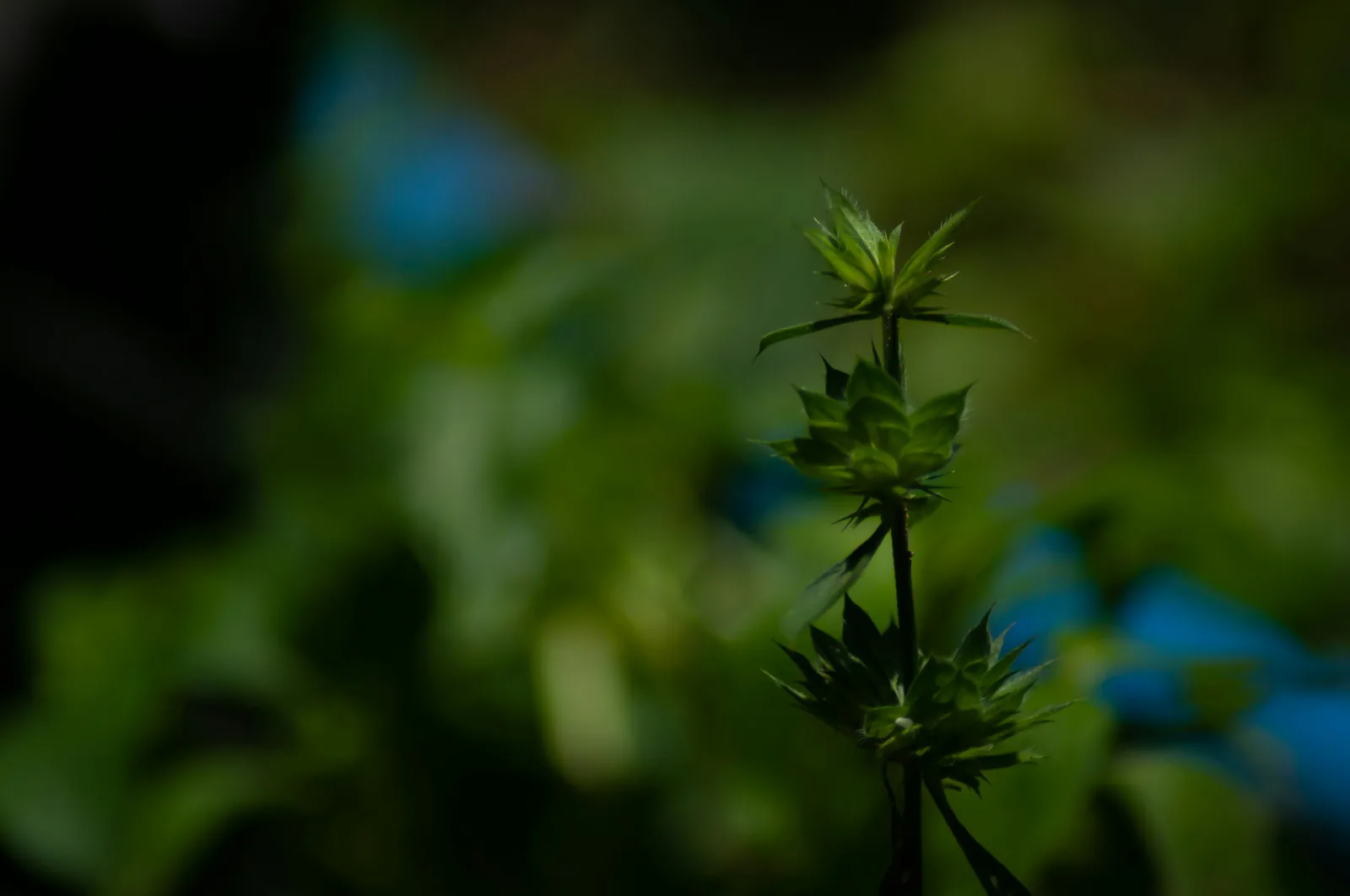 Tworzenie niedrogich stron internetowych w Powiat łaski